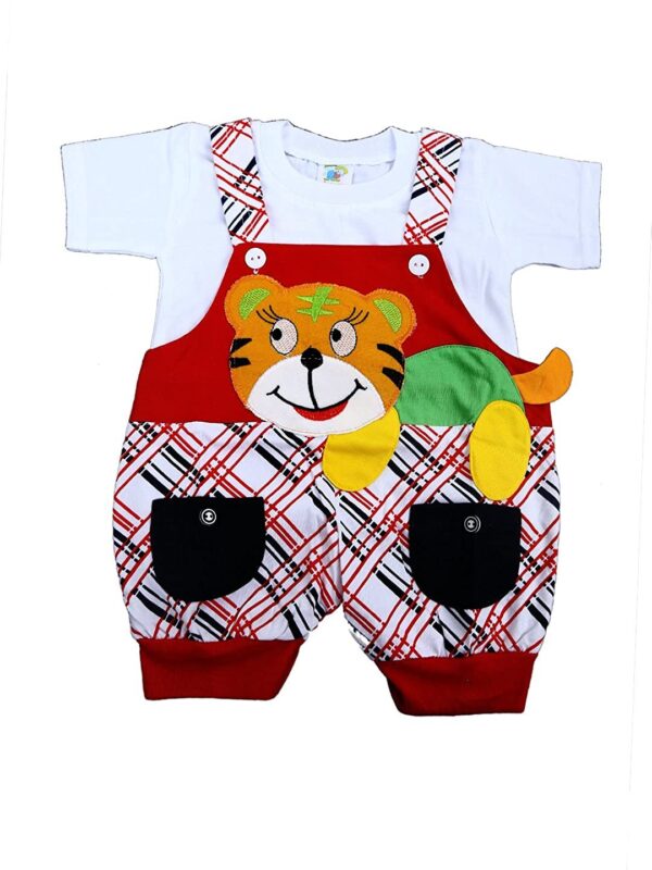 Baby Dangri Set